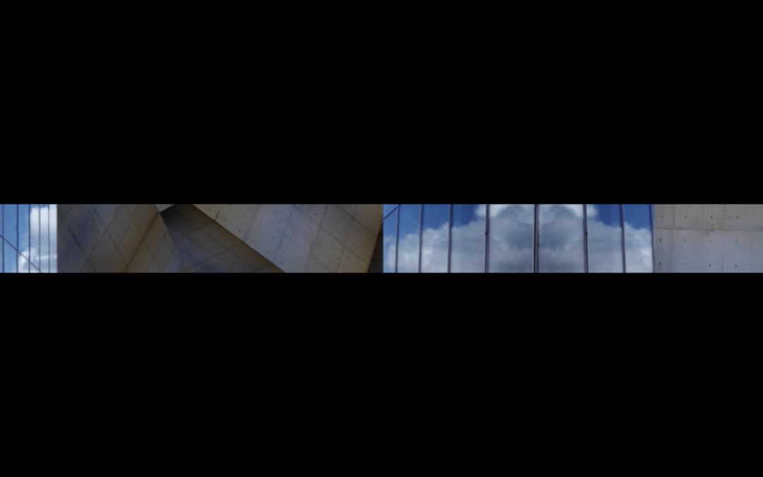 FIBES